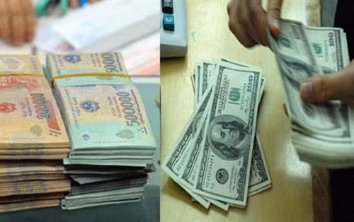 24日越盾兑美元中心汇率上涨5越盾