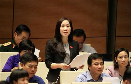 第十四届国会第六次会议表决《国家机密保密法》并对两项法律草案提出意见