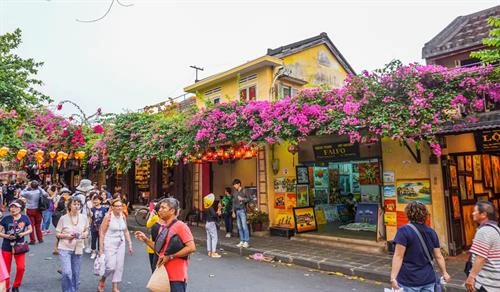 会安市多管齐下将寄宿旅游打造成为 特色旅游产品