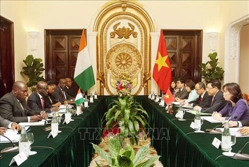 越南与科特迪瓦支持同意加强在多边论坛上的交流与合作
