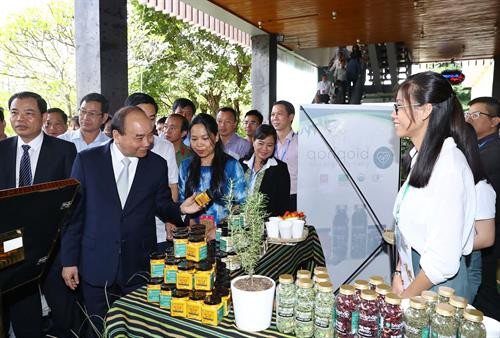 阮春福总理：像保护国家品牌一样保护玉玲人参品牌价值
