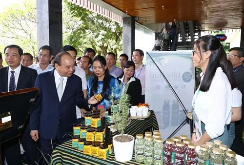 阮春福总理：像保护国家品牌一样保护玉玲人参品牌价值