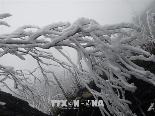 老街省高山地区出现严寒冰冻天气 近3万学生临时停课