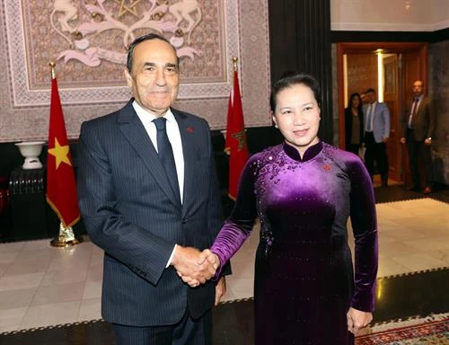 摩洛哥众议院议长与越南国会主席举行会谈 