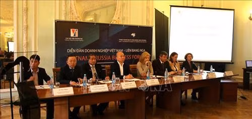 越南企业不断扩大俄罗斯的市场份额
