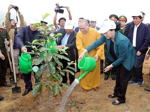 国会主席阮氏金银出席和平省植树造林出征仪式