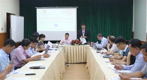 越南将申请加入ILO第105号《废除强迫劳动公约》