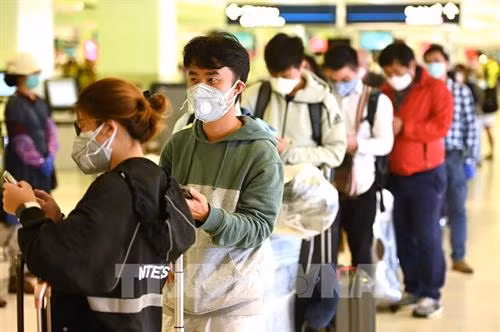 越南驻澳大利亚大使馆积极为越南留学生和青年提供协助