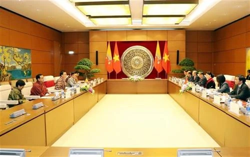 越南国会主席阮氏金银与不丹国家委员会主席塔希·多吉举行会谈