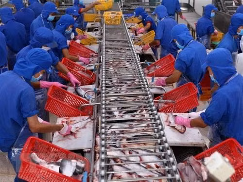 越南努力提高水产品在中国的市场参透率