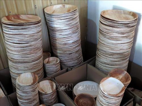 对塑料垃圾说不：槟榔树皮制品受到青睐