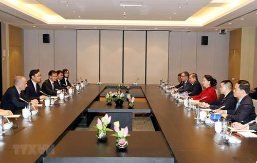越南国会主席阮氏金银会见中国企业代表