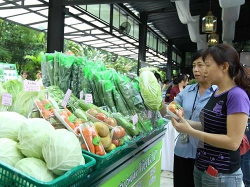 2019年8月份越南蔬果出口额达2.46亿美元