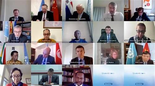 越南呼吁增加对非洲大湖地区的国际援助 为实现和平与可持续发展目标做出努力