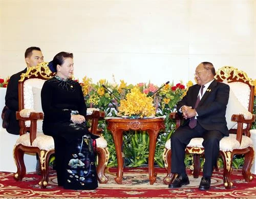 越南国会主席阮氏金银会见柬埔寨国会主席韩桑林