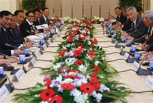新加坡与印度尼西亚达成有关飞行情报区和军事训练的框架协议