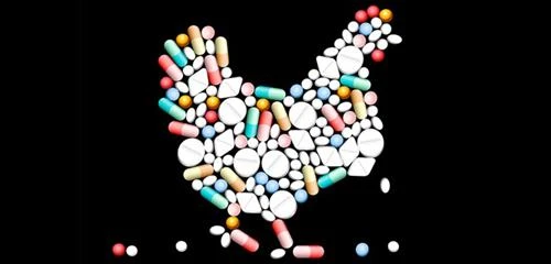 联合国粮食及农业组织：东南亚食品滥用抗生素问题严重