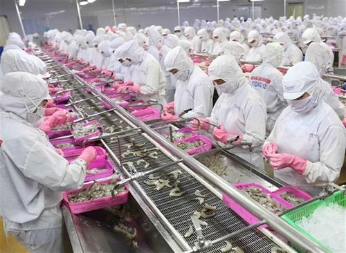 阮春强部长：农林水产品的出口仍有增长空间