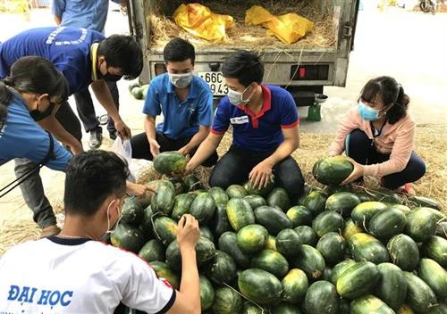 永隆省寻找农产品销售新市场