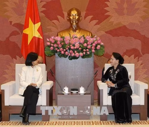 越南国会主席阮氏金银会见加拿大驻越大使平·基特尼克尼