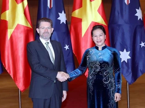 越南国会主席阮氏金银与澳大利亚参议院议长瑞安举行会谈