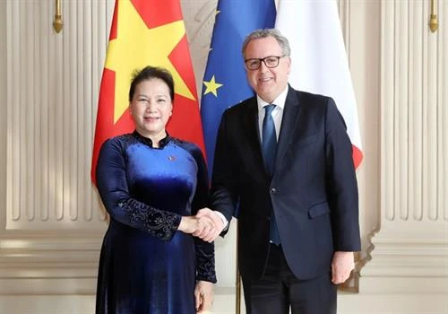 越南国会主席阮氏金银同法国国民议会议长举行会谈
