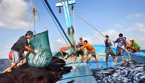 印度尼西亚加大对海事和渔业领域的投资力度