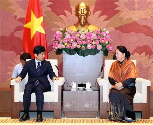 阮氏金银主席会见日本群马县代表团