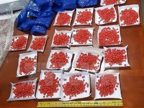 山罗省：逮捕非法贩运毒品的一名老挝籍嫌犯