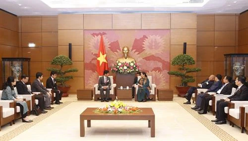 越南国会常务副主席丛氏放会见日本医疗专家团