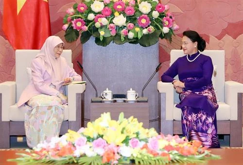 越南国会主席阮氏金银会见马来西亚副总理
