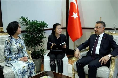 中央民运部部长张氏梅对土耳其进行工作访问
