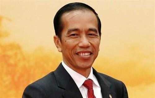 印度尼西亚总统即将对越南进行国事访问