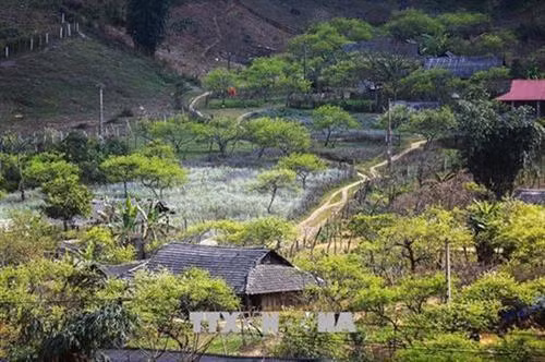 越南山罗省木州高原茶文化之美