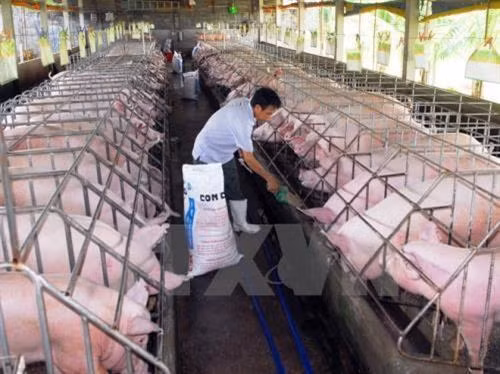 越南Olmix Asialand有限公司饲料添加剂生产厂投入运营