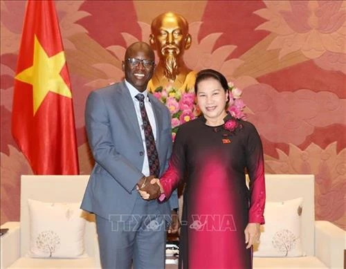 越南国会主席阮氏金银会见世行驻越首席代表奥斯曼•迪奥
