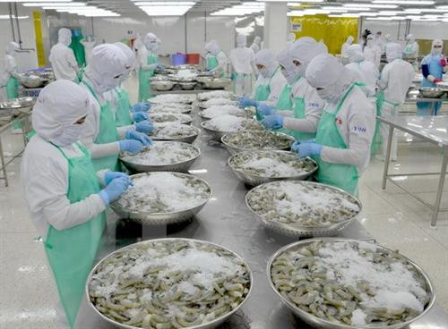 越南水产品对中国的出口活动呈现复苏态势
