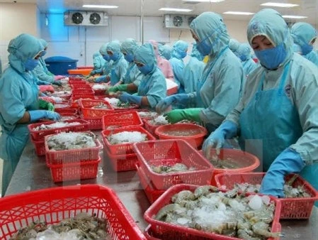 越南水产业面向提高虾出口额的目标