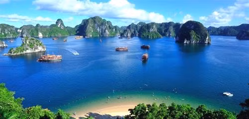 切实响应2019年世界海洋日和世界环境日