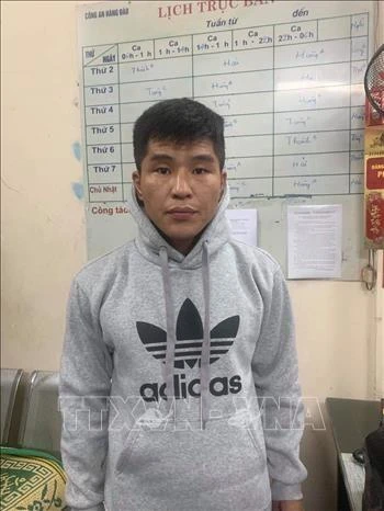 河内：外国人伪装为游客实施犯罪