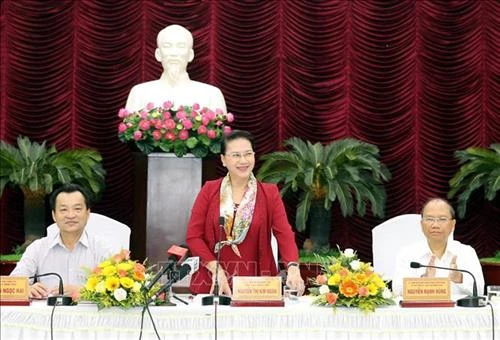 越南国会主席阮氏金银赴平顺省调研