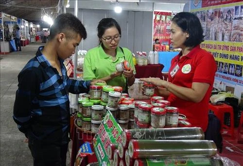 宁平省举行2019年红河平原地区“一乡一品”国际博览会