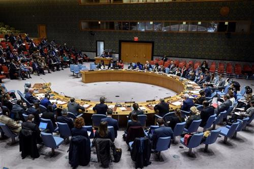 越南支持联合国安理会解决非洲面临的恐怖和暴力极端主义