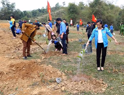 推进植树和造林工作 努力保护环境