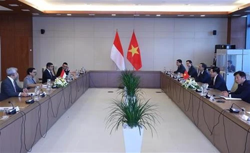 越南政府副总理兼外长范平明同印尼外长举行会谈