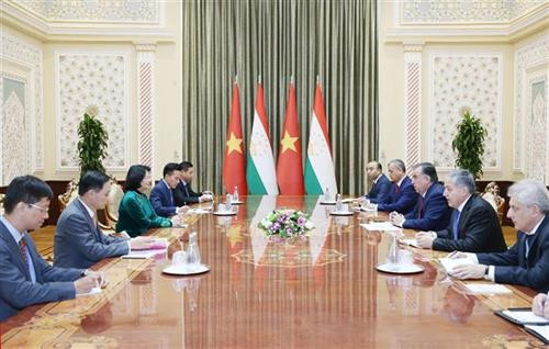 越南国家副主席邓氏玉盛同多国领导举行双边会晤
