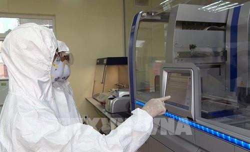 越南已掌握PCR和快速检测两种新冠肺炎病毒检测方法