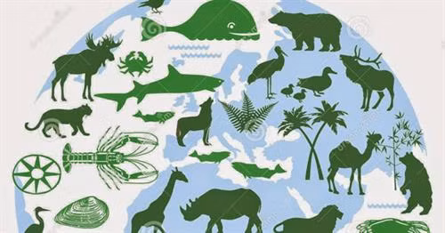 2019年国际生物多样性日：“我们的生物多样性，我们的食物，我们的健康”