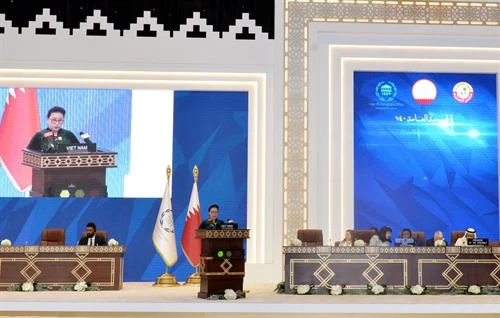 阮氏金银出席各国议联第140届大会全体会议并发表重要讲话