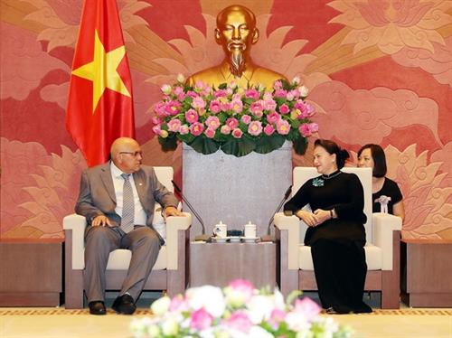 阮氏金银：越南一直以来是古巴的好同志、好朋友和好兄弟
